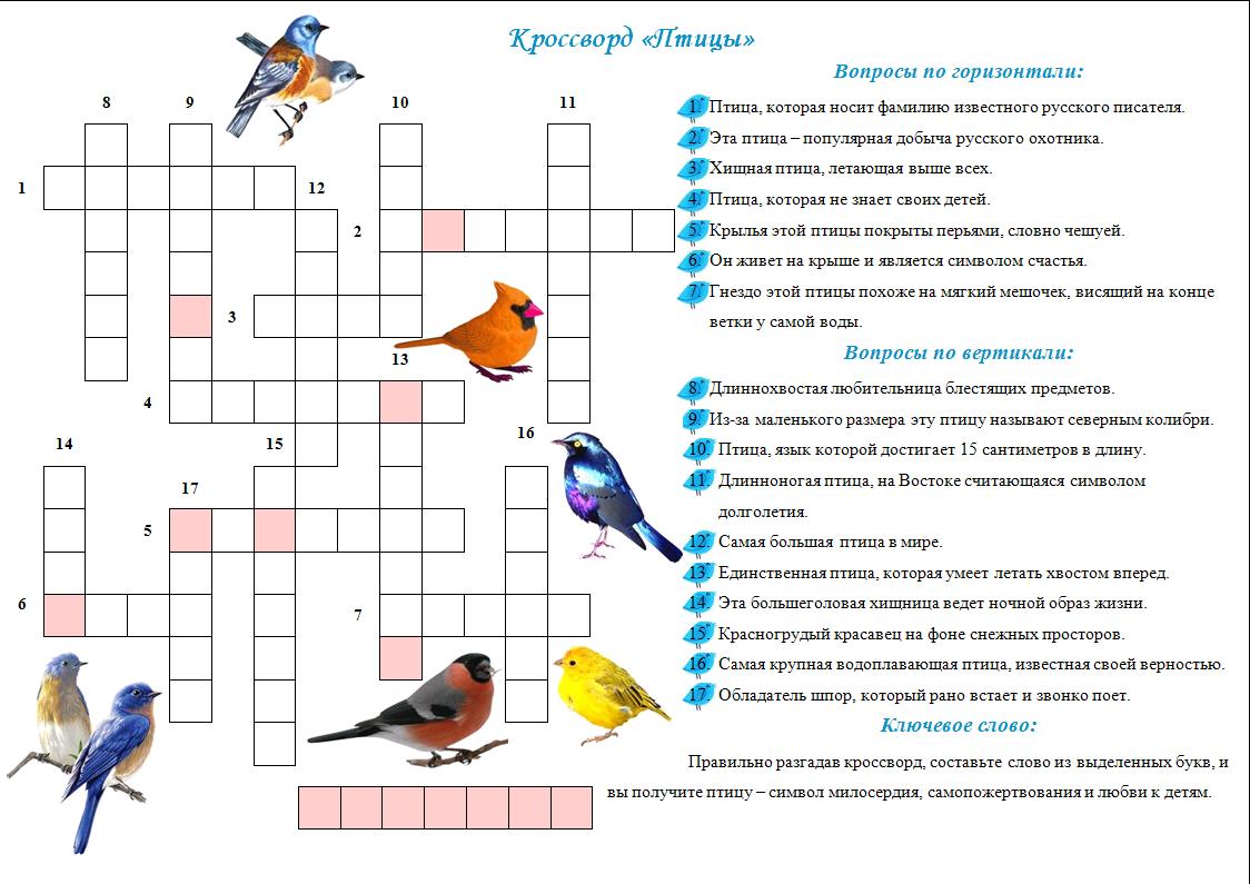 Кроссворды про птиц по биологии 7 класс