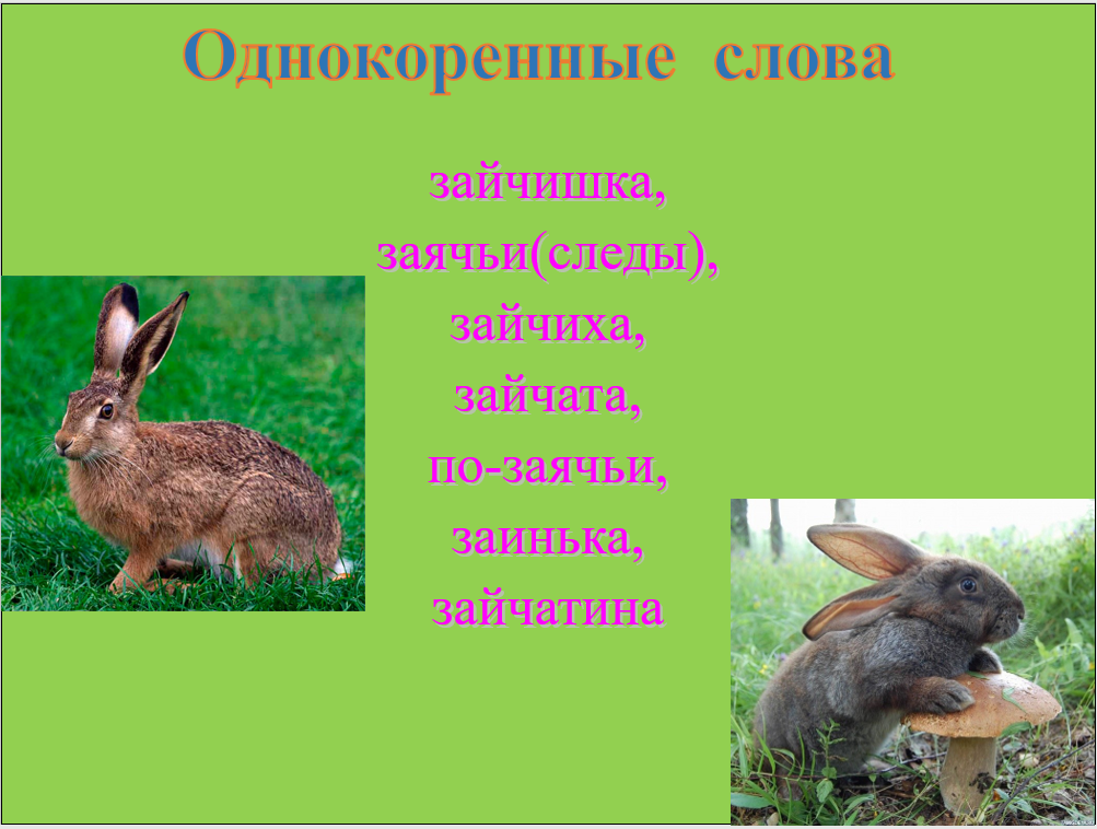 Предложение про зайца. Проект о слове заяц. Проект по русскому про Зайцев. Заяц заячьи.