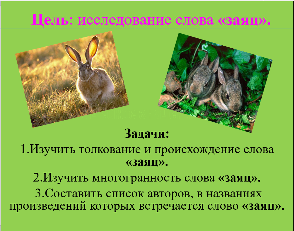 Предложение про зайца. Рассказ о слове заяц. Проект о слове заяц. Проект рассказ о слове заяц.