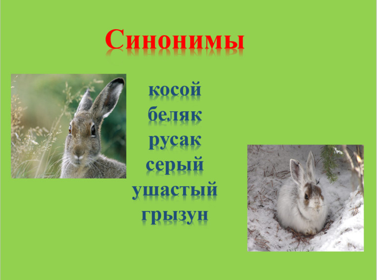 Что обозначает слово заяц. Слово заяц. Текст про зайца. Этимология слова заяц. Заяц корень слова.