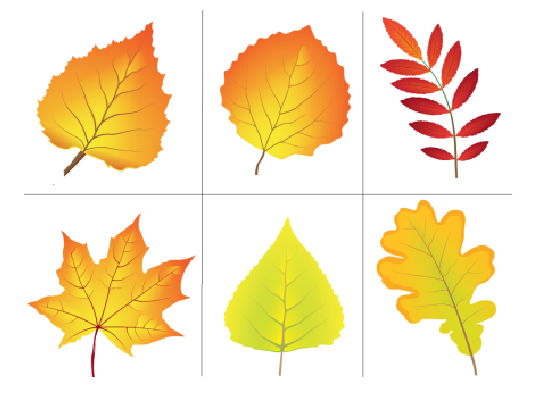 Листья для дошкольников. Осенние листочки. Осенние листья для дошкольников. Листья деревьев для дошкольников. Собрать осенние листья