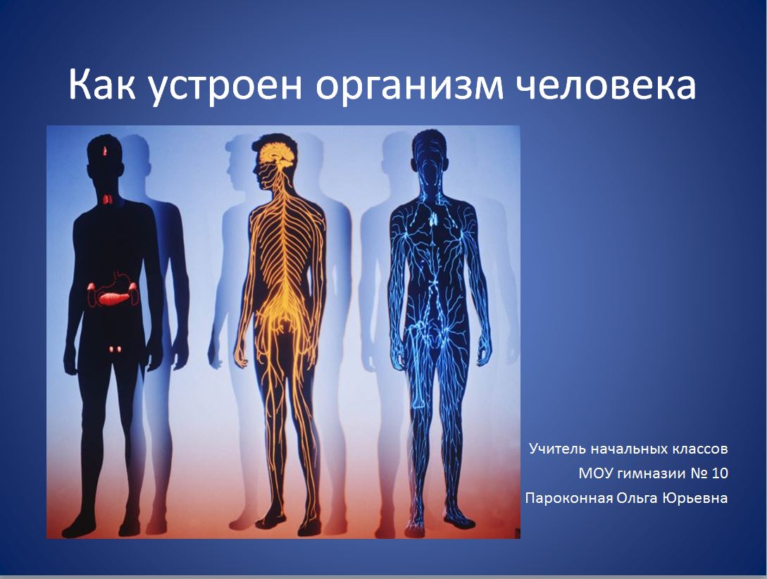 Темы человек живой организм. Организм человека. Человеческий организм. Системы организма человека. Системы органов человека презентация.