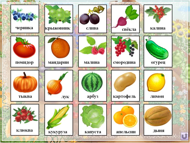 Игра называется овощи. Карточки овощей и фруктов. Карточки овощей и фруктов для детей. Карточки с изображением овощей. Овощи и фрукты названия.