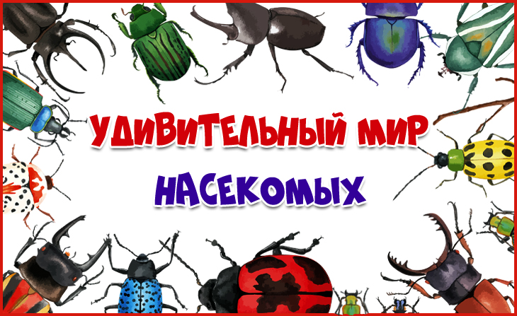 III Всероссийский творческий конкурс "Удивительный мир насекомых"