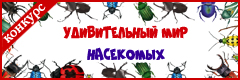 VII Всероссийский творческий конкурс "Удивительный мир насекомых"
