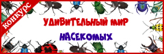 VIII Всероссийский творческий конкурс "Удивительный мир насекомых"